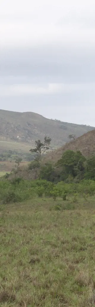 Südafrika: Auf unbekannten Pfaden mit dem Mietwagen durch traumhafte Gegenden